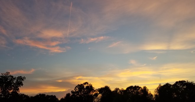 IMG_20180817_203521_413